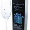 Dartington Glitz Champagne Flute -Kitchenware Discount Store 23302 20066
