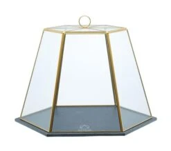 Artesa Slate Serving Cloche Brass