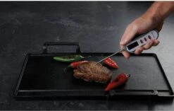 Taylor Pro LED Display Thermometer -Kitchenware Discount Store 35942 14686