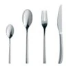 Denby Spice 16 Piece Cutlery Set